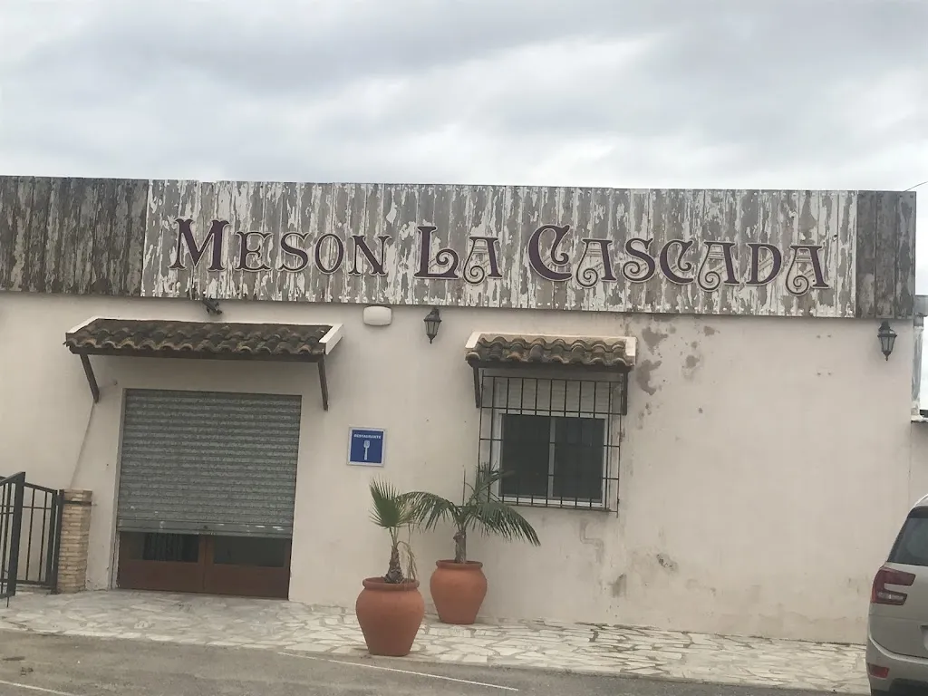 Odalis Puma_Meson la cascada_Pulpí_review