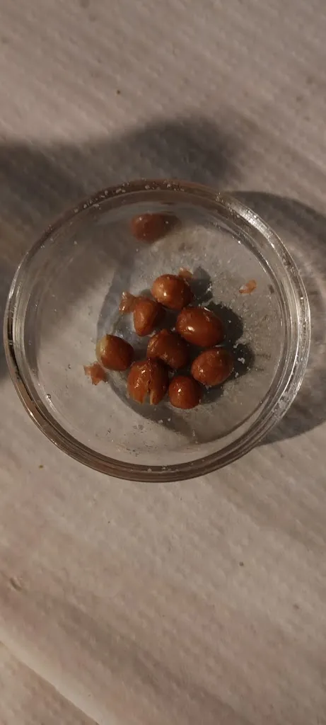 Menu_Bar Restaurante Zona de Acampada Los Botijos._Bicorp_image_8