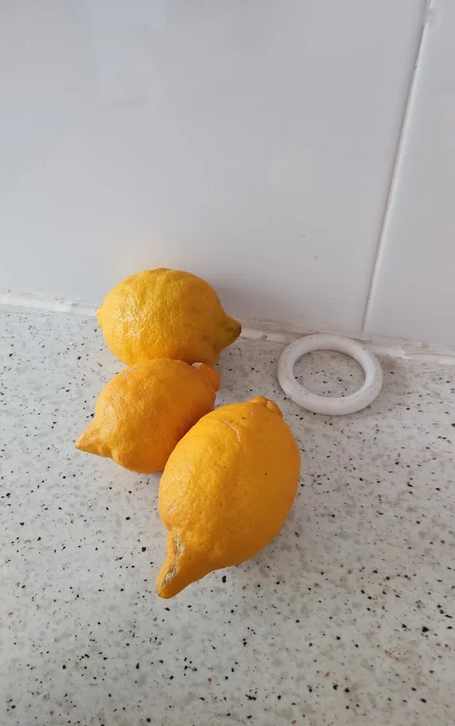 Menu_Kebab pulpi TURCO_Pulpí_immagine_4