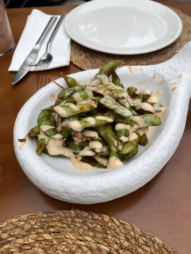 Alexander Mykhailenko_Villa Sofia_Benicàssim_review