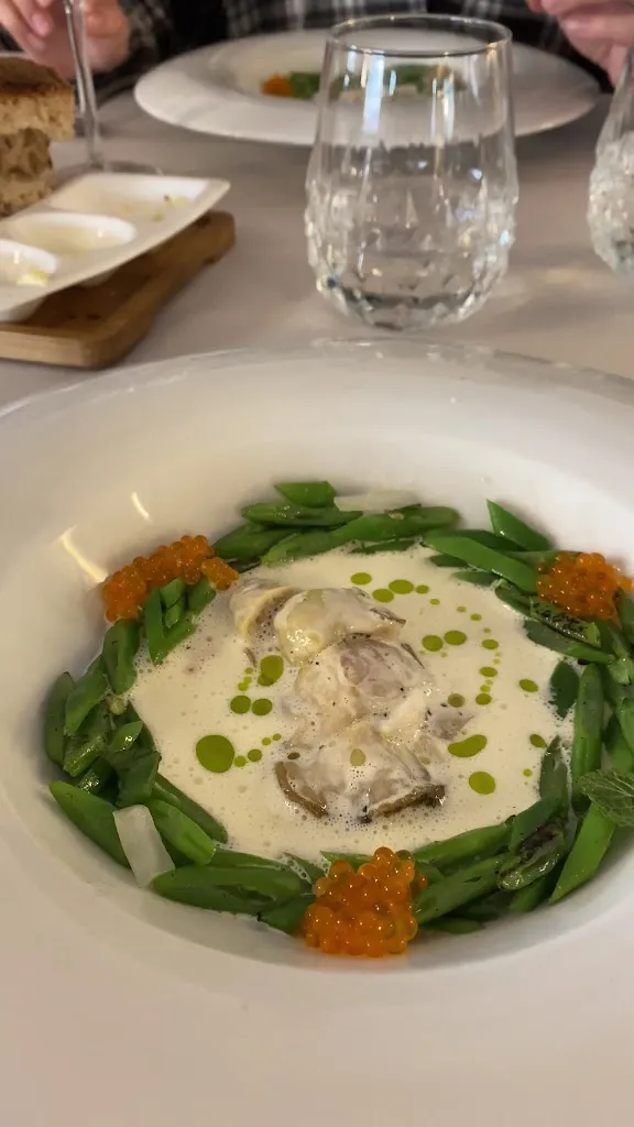 La Suculenta_Benicàssim_slider_image_2