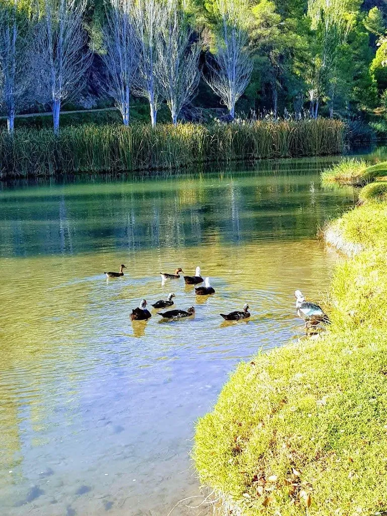 Centro Social Jubis_Bugarra_slider_image_1