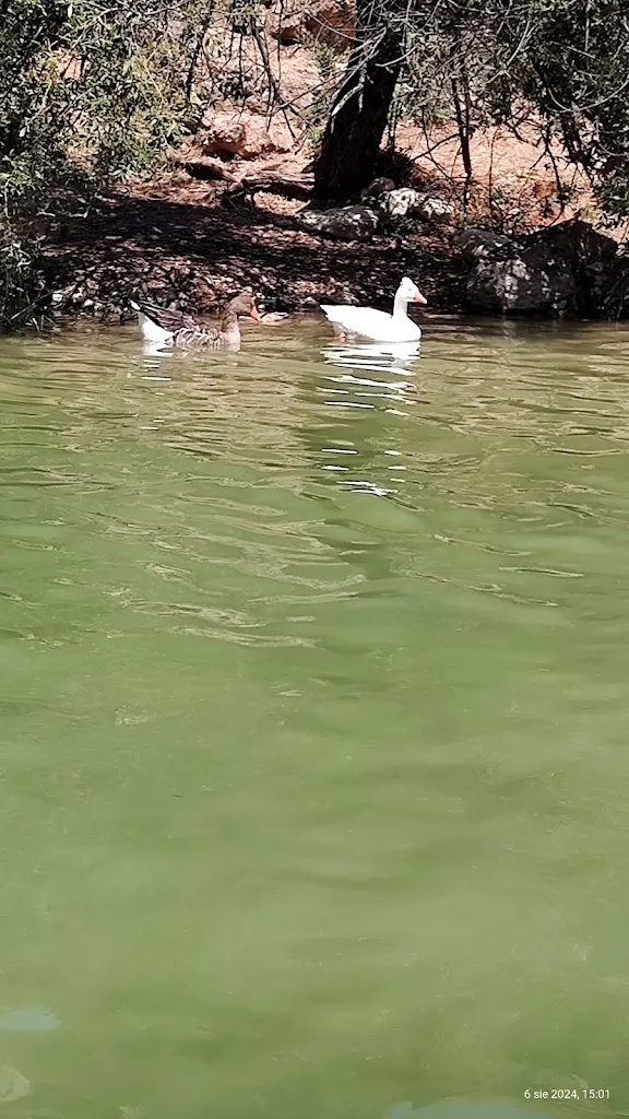 Jedrzej Kocinski_Rio de Bolbaite. Zona recreativa_Bolbaite_review