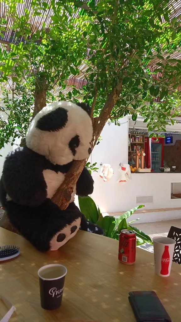 Ignacio Sastre García_La Caleta Del Panda_Bolbaite_review