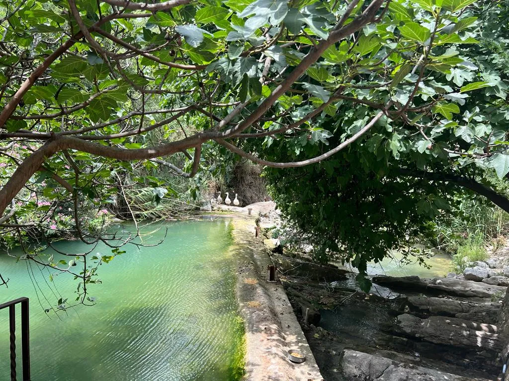 Juan Antonio Bernabeu_Molí del Pas_Bocairent_review