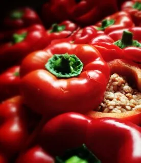 Menu_Cafetería Vicentet_Bocairent_immagine_1