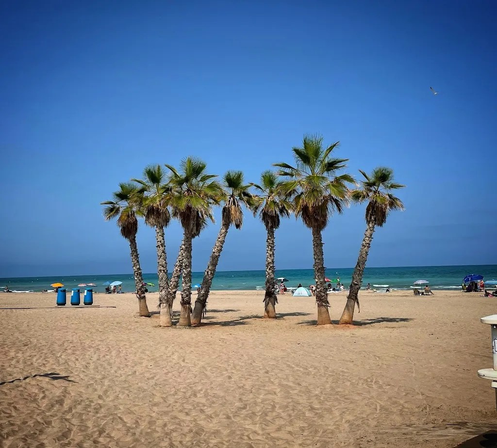 Nicolas Bovier_Chirinkiko_Canet d'En Berenguer_review