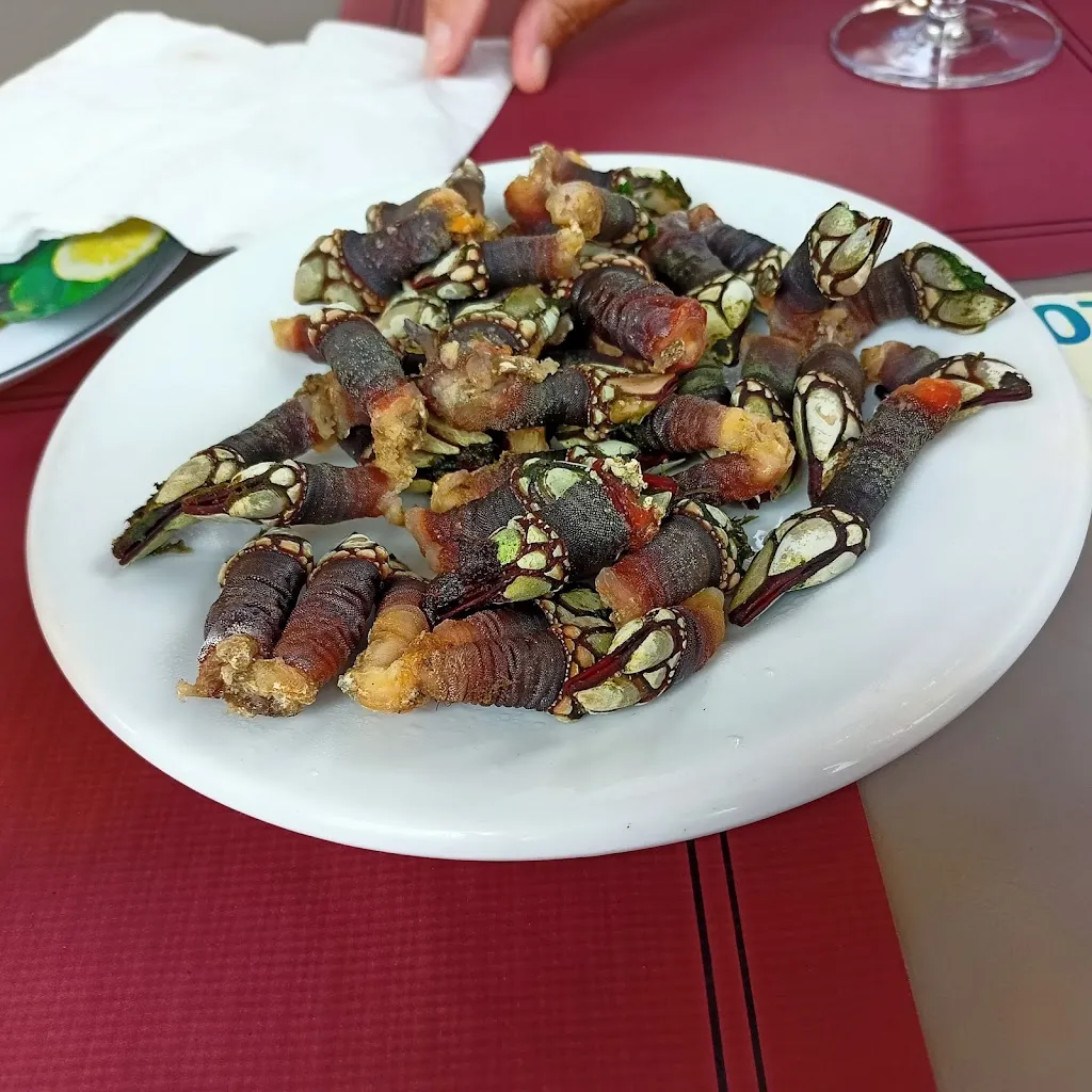 Meson Real_Cedeira_slider_image_3