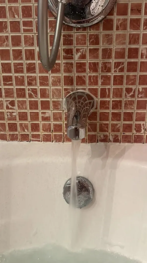 fritz Sambeek_Restaurante los Jerónimos_Wamba_review