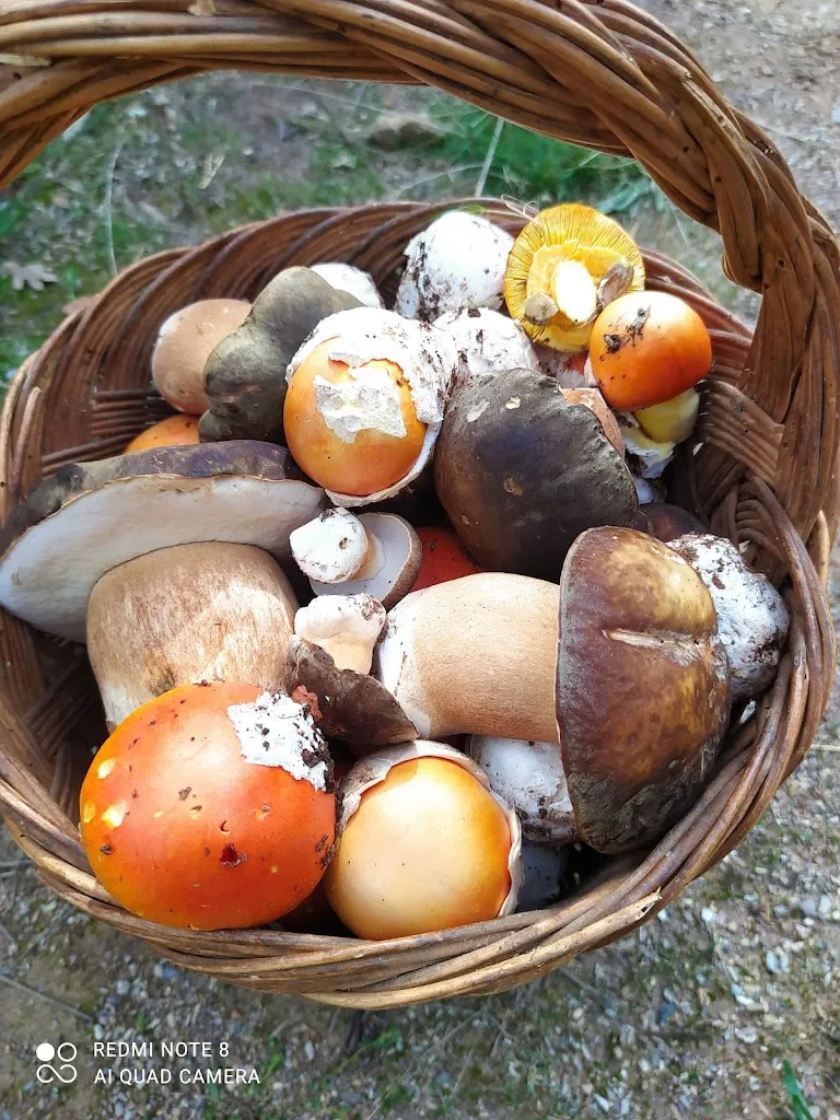 Menu_La Toscana dos.cero_Alcañices_image_4