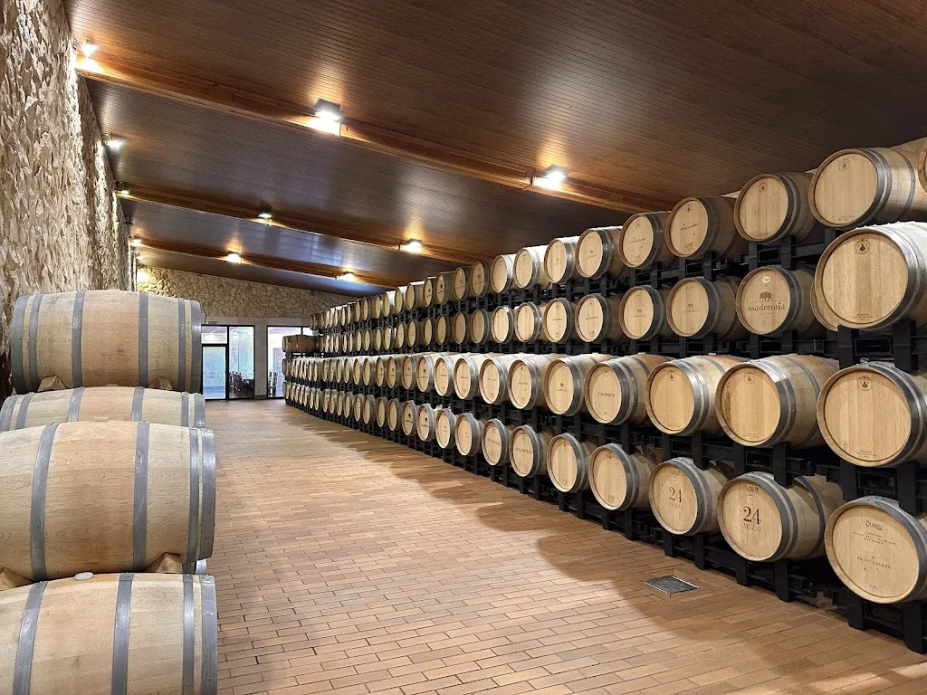 Bodega y viñedos Divina Proporción S.L._Abezames_slider_image_3