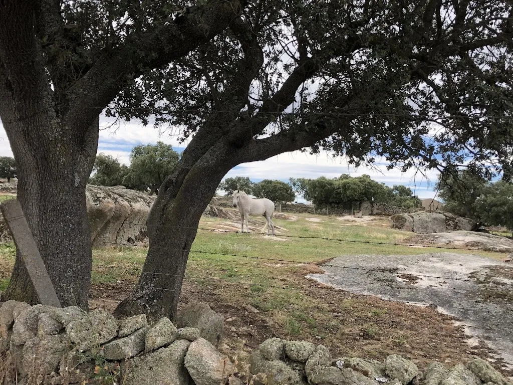 Restaurante Pensión El Abuelo_Alfaraz de Sayago_slider_image_3