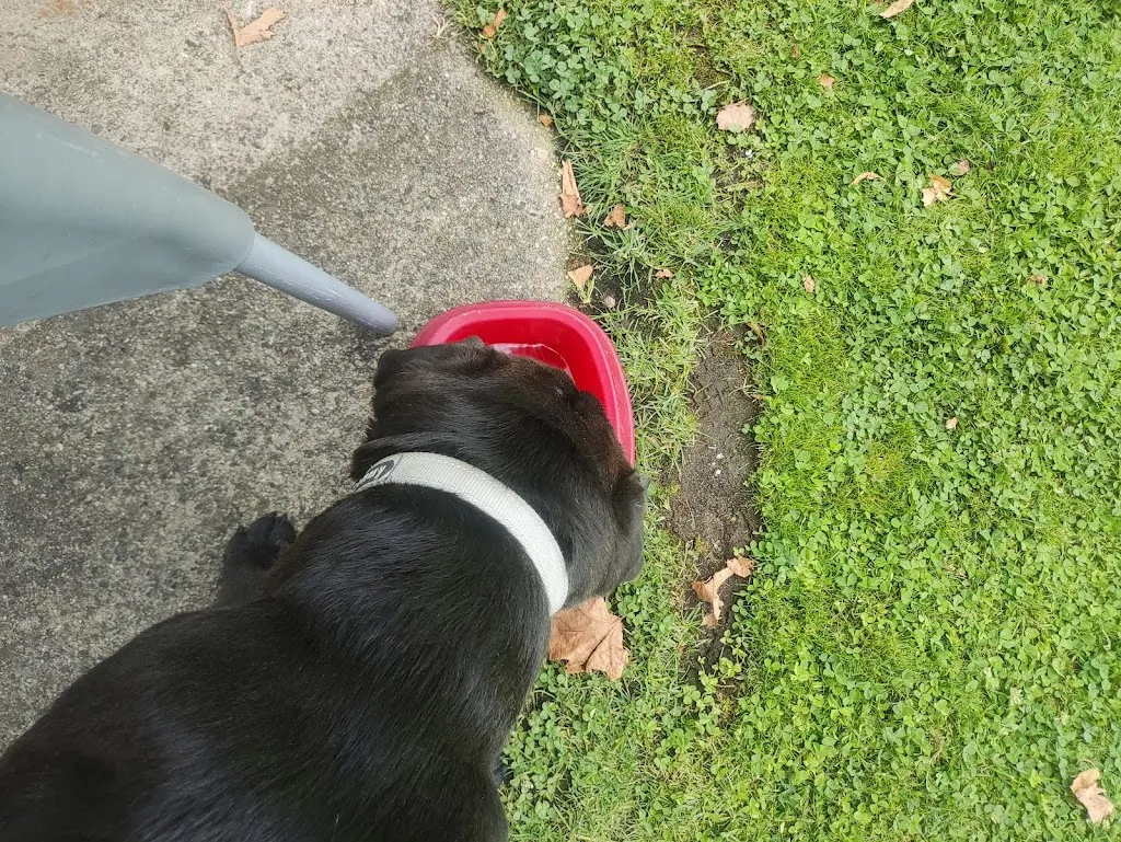 Miriam Raris Garcia_Merendero Asturias_Argujillo_review