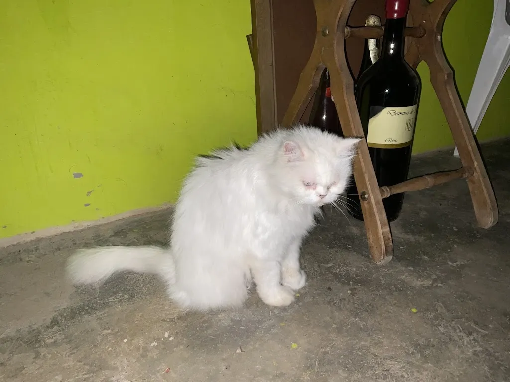 Hardy Leiz _Casa Tere y Joaquín_Ayoó de Vidriales_review