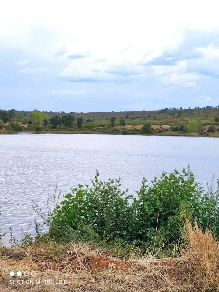 Casa Tere y Joaquín_Ayoó de Vidriales_slider_image_2