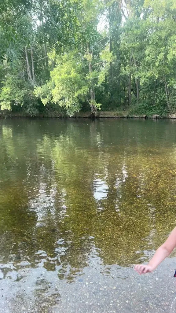 Dani MC_Molino d’or_Brime de Urz_review