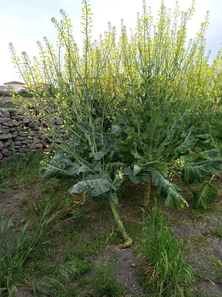 Bar-Restaurante Encarna_Carbellino_slider_image_2
