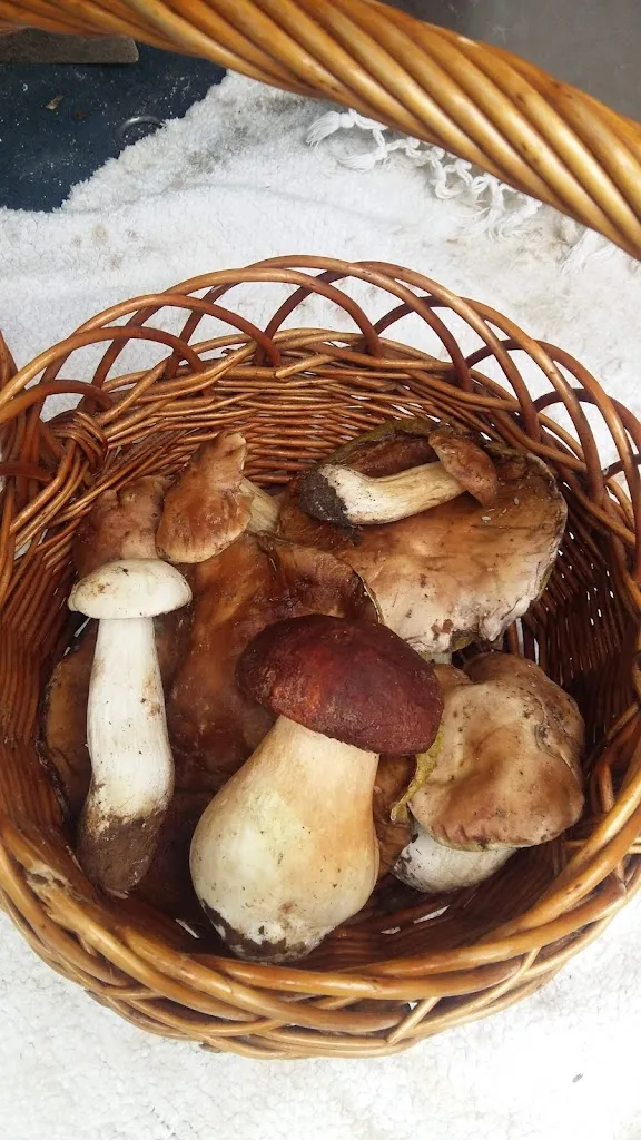 Menu_El Refugio_Fermoselle_image_7