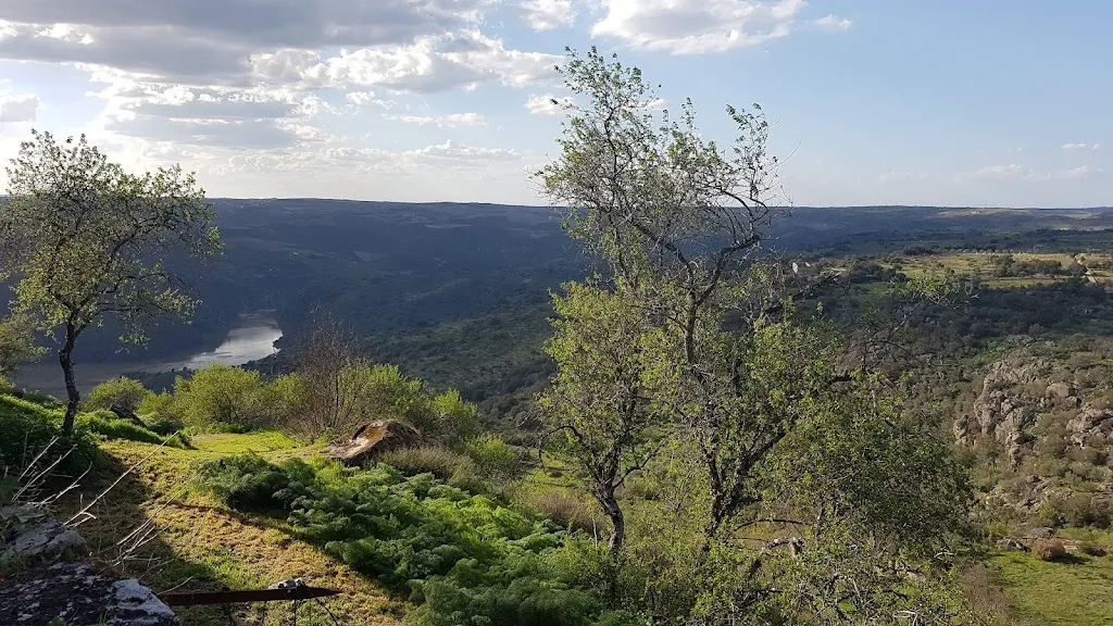 Café Bar La Colomba_Fermoselle_slider_image_3