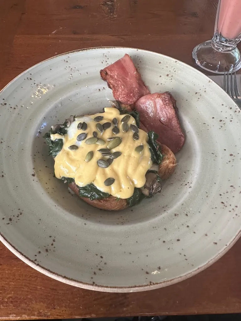 Domenic Orsi_Frida_Fariza_review