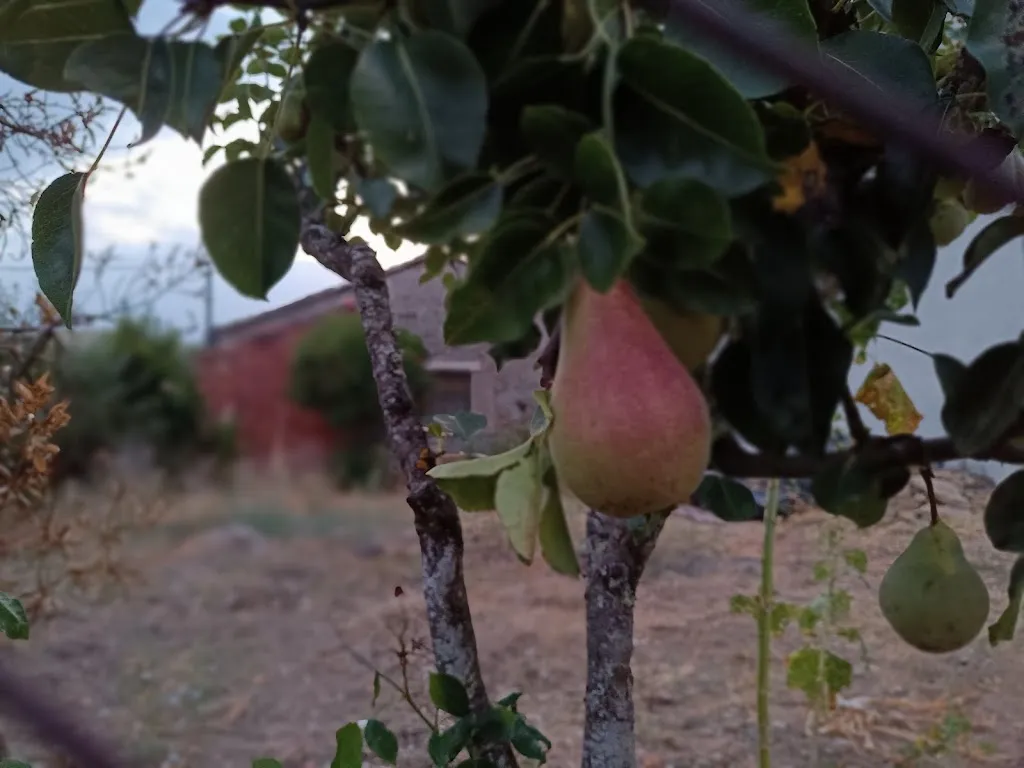 Elena Helena_Hotel Rural La Robla_Figueruela de Arriba_review