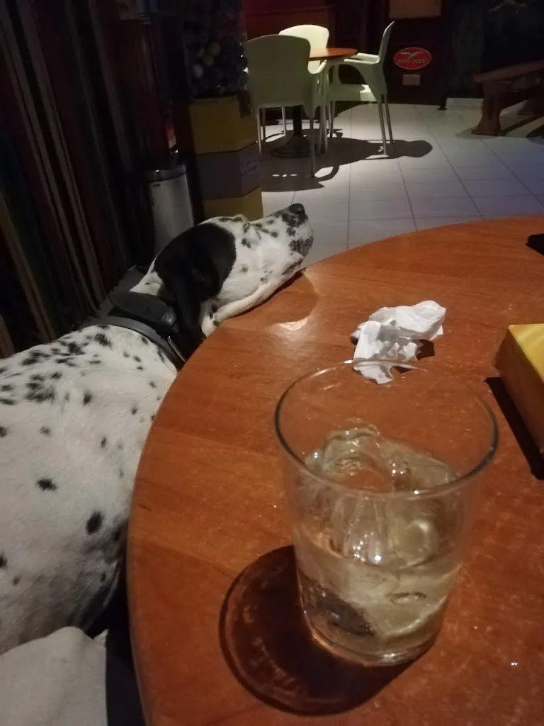 Menu_Bar Disco Chencho_Figueruela de Arriba_image_2