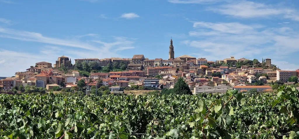 Alpesh Patel_Restaurante Vivanco. Cultura de Vino_Rioja_review