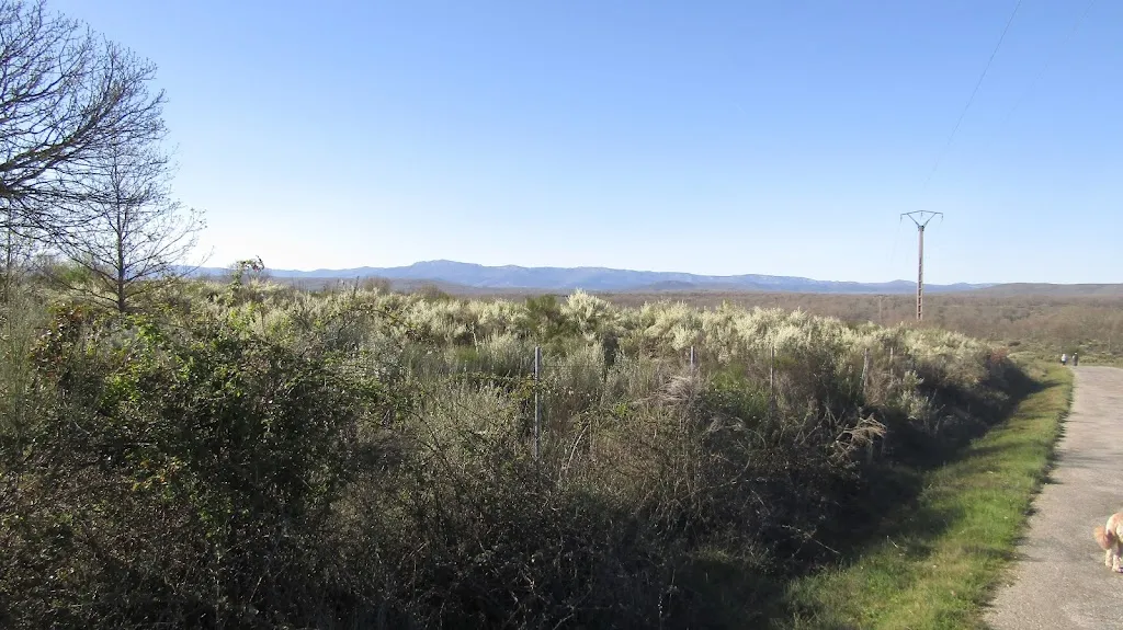 euan shaw_Camping Bar Restaurante Los Molinos_Manzanal de Arriba_recensione