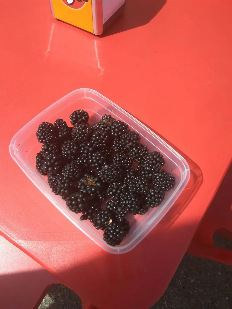 Menu_Bar La Escuela_Melgar de Tera_image_3