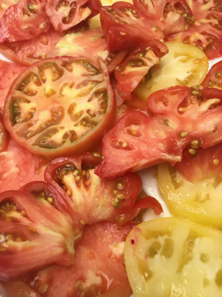 Andrea González_BAR STOP-ALEGRÍA._Moral de Sayago_review