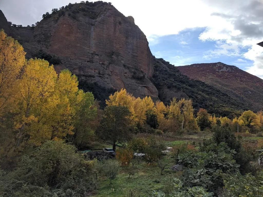 Tensen Varghese_Meson Los Angeles_Rioja_review