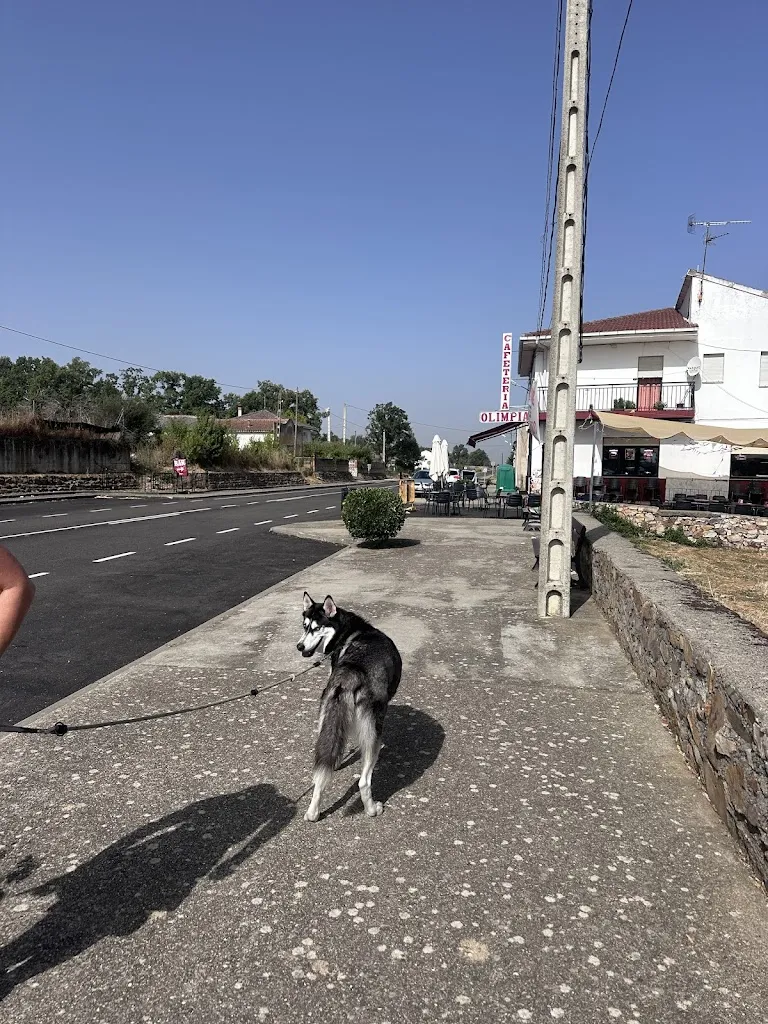 Eugenia Norakidze_Cafeteria Olimpia_Otero de Bodas_review