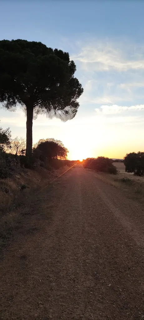 Bar Marcar_Perilla de Castro_slider_image_2