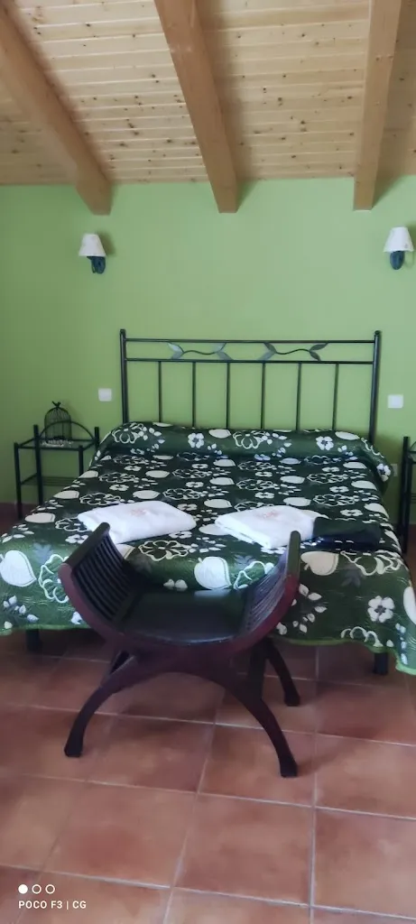 MICADINA_El Quinto Pino_Pino del Oro_review