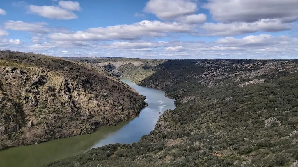 El Quinto Pino_Pino del Oro_slider_image_3