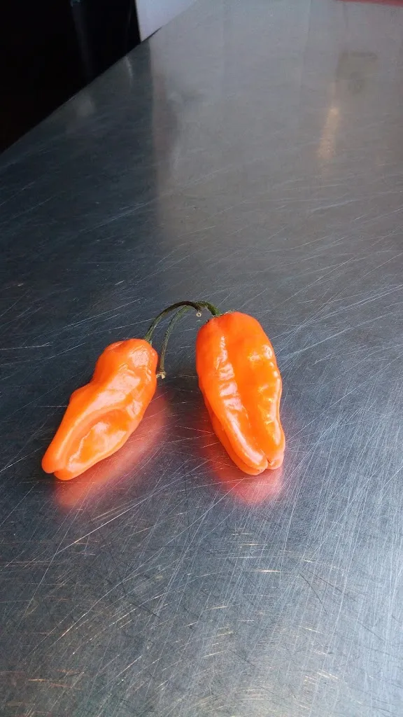 Menu_RESTAURANTE PANACHÉ_Rioja_immagine_3