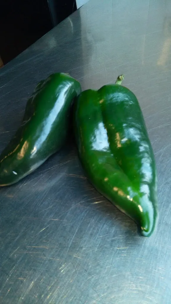 Menu_RESTAURANTE PANACHÉ_Rioja_immagine_4