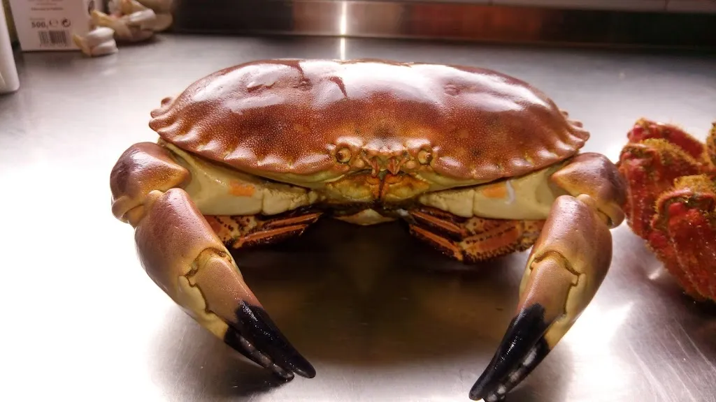 Menu_RESTAURANTE PANACHÉ_Rioja_immagine_9