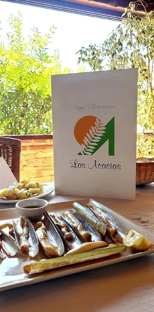 Rocio Vela Sanchez_Hostal Restaurante Las Acacias_Samir de los Caños_review