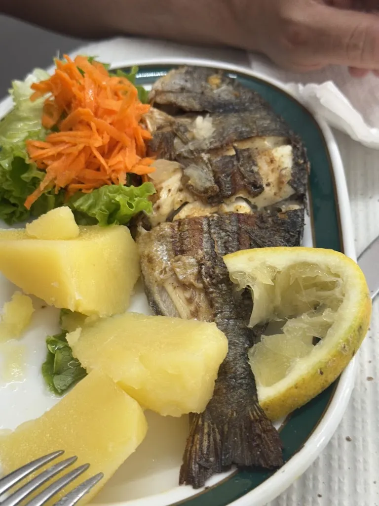 Carolina Caballero Gomez_Casa Viúva_Porto_review