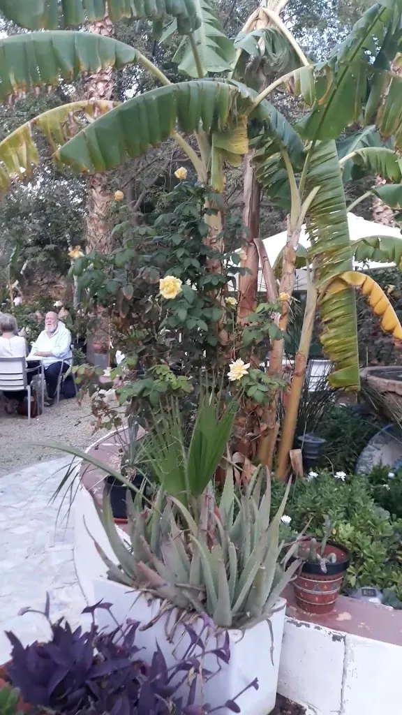 Parque Gines Parra_Zurgena_slider_image_2