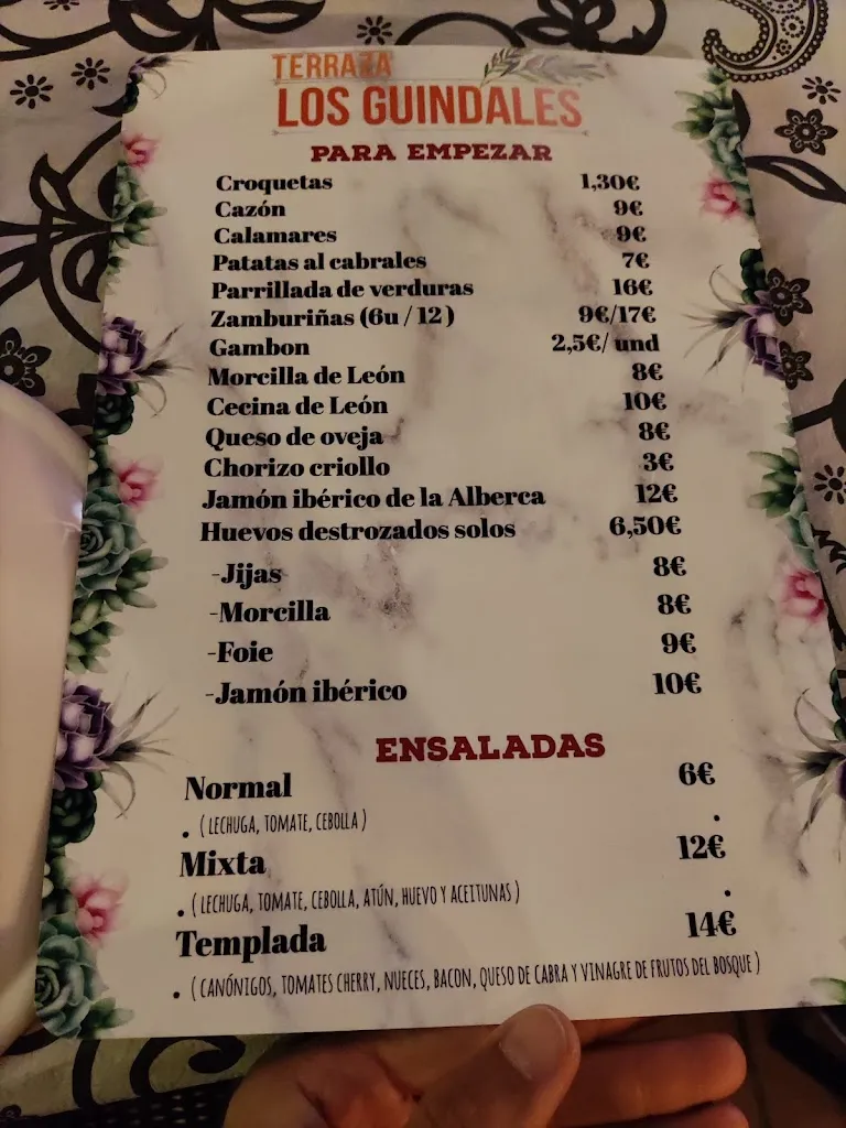 Menü_Terraza Los Guindales_Santovenia_Bild_3