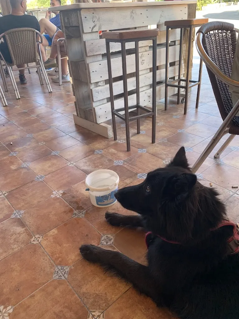 Bar El Ministerio restaurant in Vadillo de la Guareña