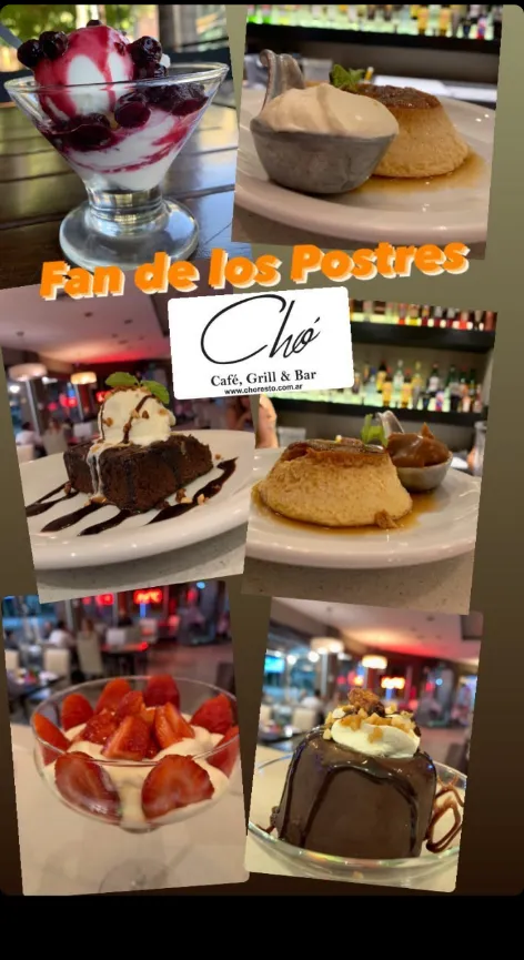 Chó_San Justo_slider_image_3