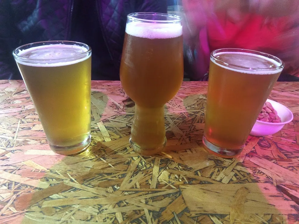 Menu_Complejo Santa Birra_San Justo_immagine_9