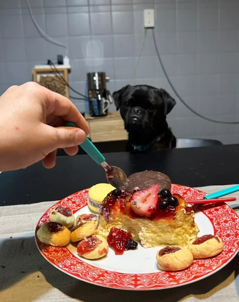 Martin Rodriguez_Piacere sin tacc San Justo_San Justo_review