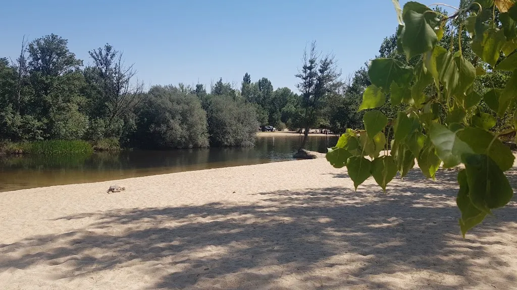 maria teresa michell_Puente Mozar_Villabrázaro_review