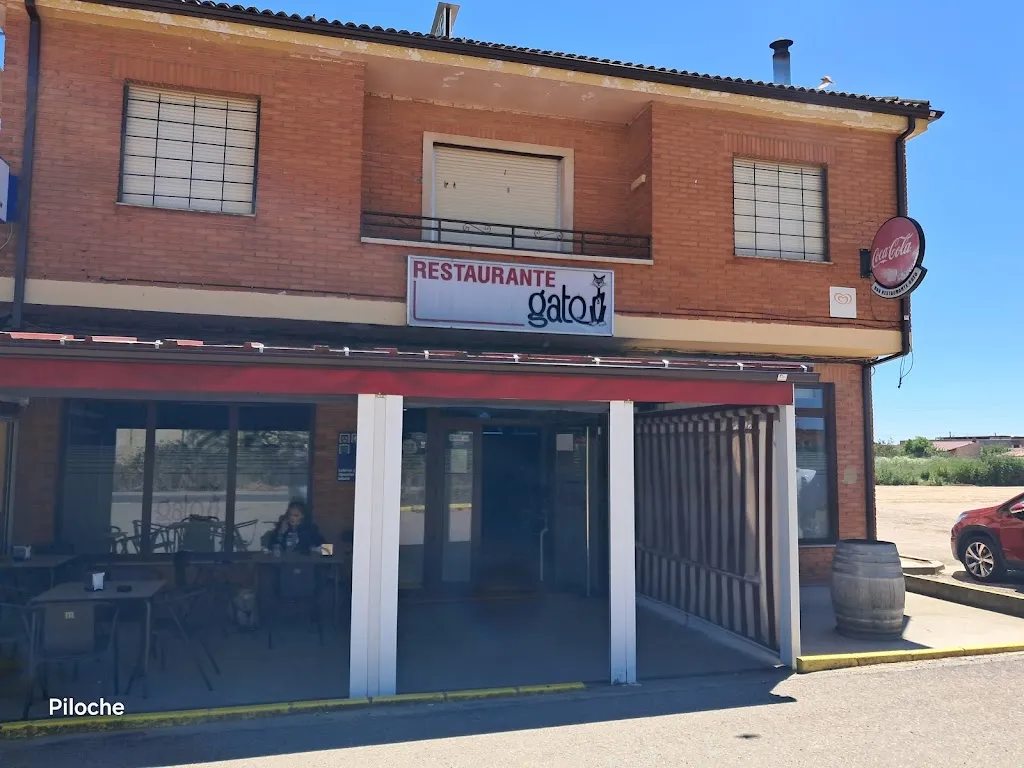 Jose Miguel X_Bar Restaurante Gato_Villanueva del Campo_recensione