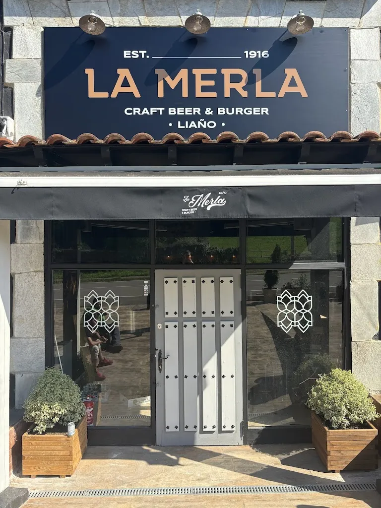 La Merla Craft Beer & Burger_Villaescusa_slider_image_1