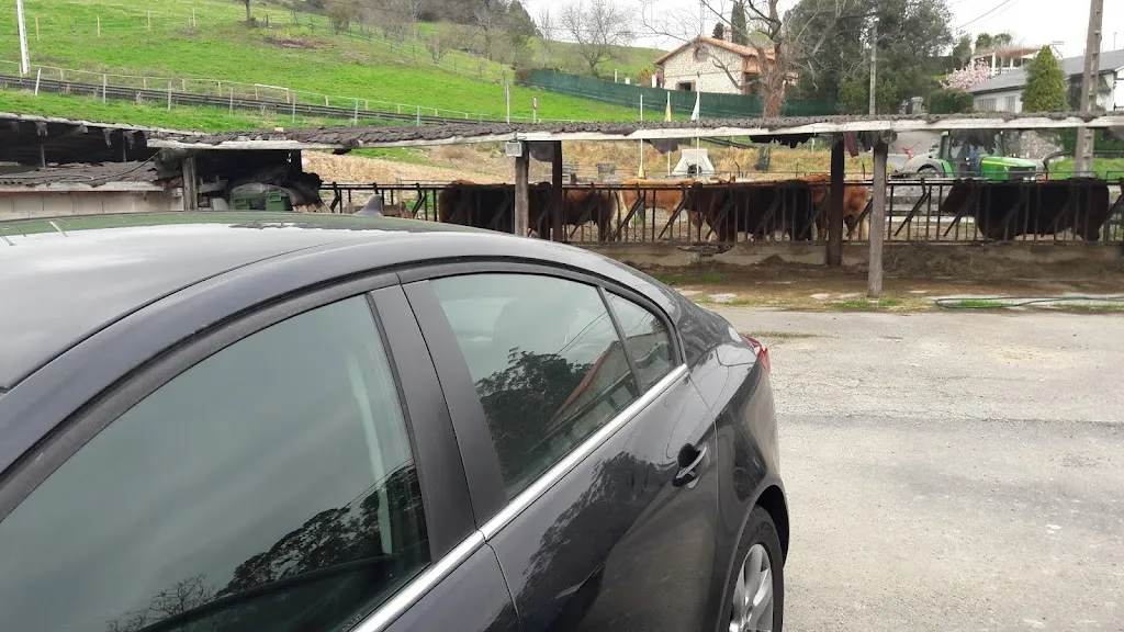 Vidal González_Nuevo DOS LAGOS_Villaescusa_review